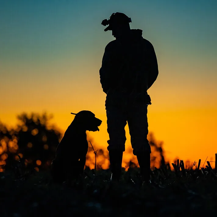 Dog and Man Silhouette Dusk