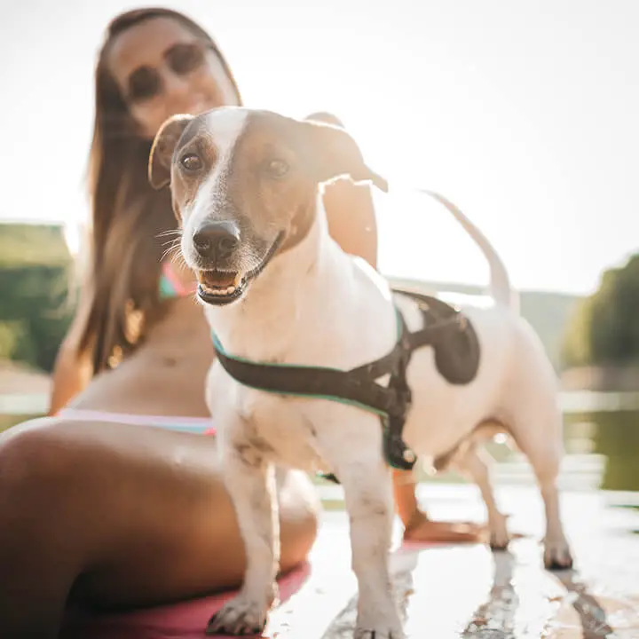 Dog and Woman on Paddleboard