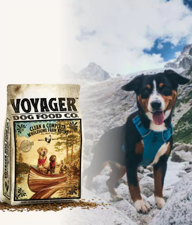 Voyager Bag With Mountain Dog